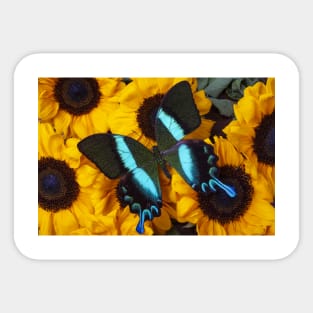 Large Green Blue Pretty Butterfly Sticker